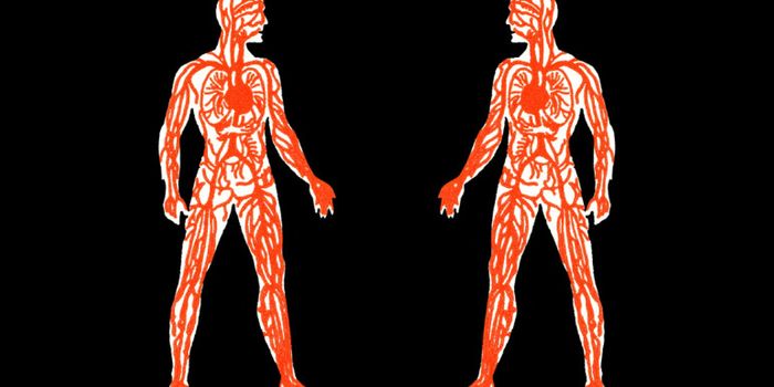 Cardiovascular disease's race gap isn't in genes