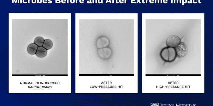 Microbes can survive asteroid impacts to "hop" planets