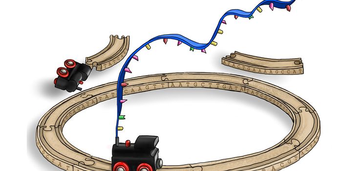 Transcription Mechanism Sheds new Light on Junk DNA