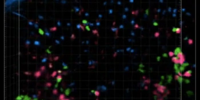 Small Changes in Vaccine Molecules Could Make Them More Effective