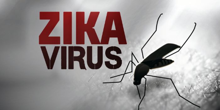 TSRI Scientists Pinpoint Ebola's Weak Spots