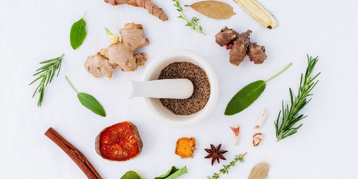 Traditional Medicine Reveals a New Anti-Cancer Drug