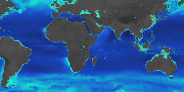 Huge phytoplankton bloom covers Southern Ocean