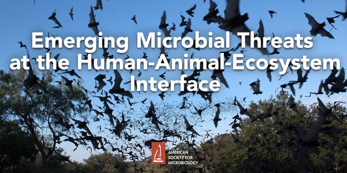 Emergent and Resurgent Microbial Threats to Human Health