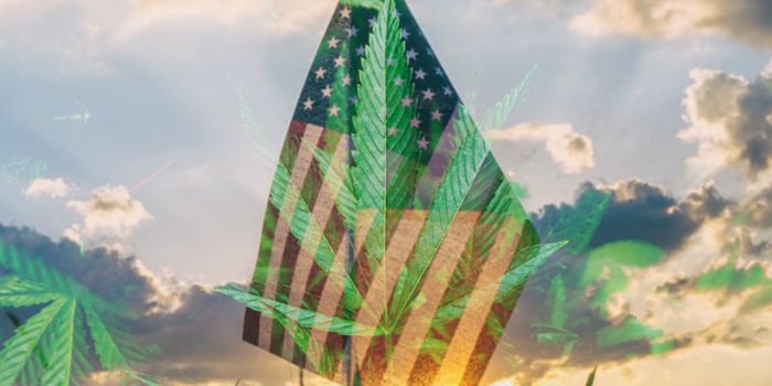 Presidential Candidates and Cannabis Legalization: Where do they Stand?