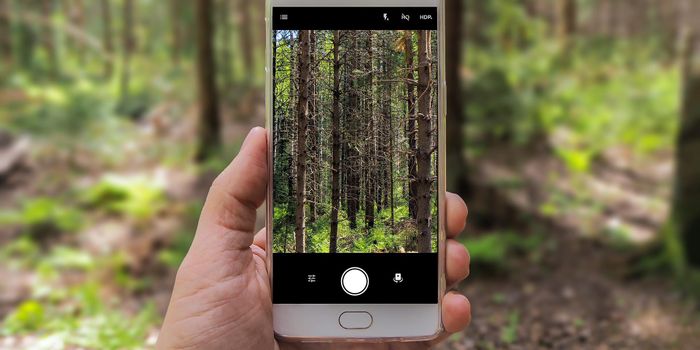 Artificial Intelligence Can Now Diagnose Chagas Disease Using a Phone's Camera