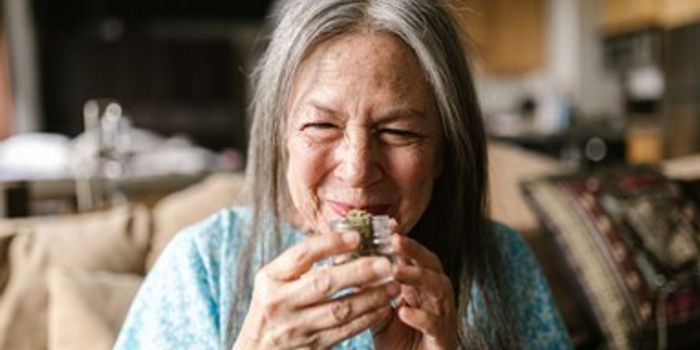 Baby Boomers and Cannabis Use