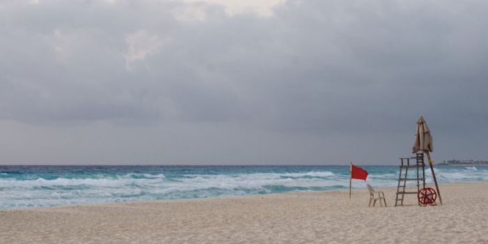 Swimming in the Ocean Changes the Skin Microbiome