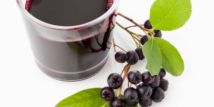 Aronia Berries: Anti-Cancer and Other Benefits