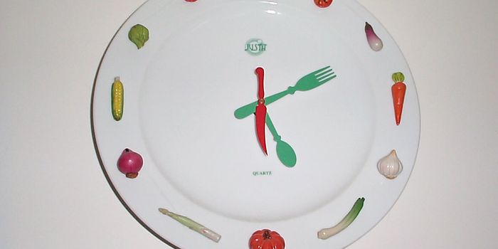 Unraveling the Relationship Between Metabolism and Circadian Rhythm