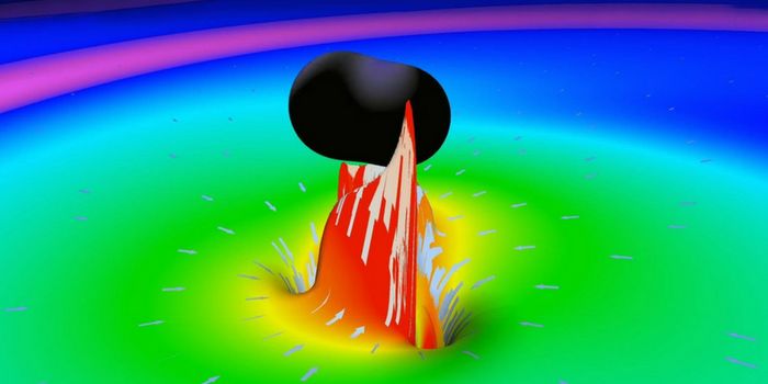 I Say Black Holes, You Say Wormholes