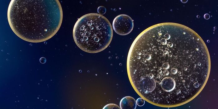 How Trapping a Molecule Made by Gut Microbes can Improve Health