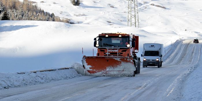Negative Effects of Road Salt
