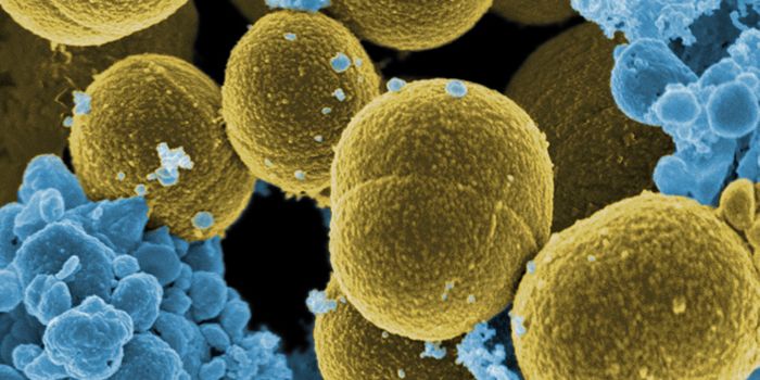 Understanding the Enzymes of the Microbiome