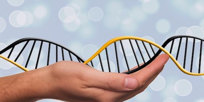 Humans are Still Evolving, Study Suggests