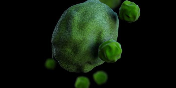 Eye Bacteria are Linked to Cognitive Decline