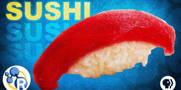 Chemists Explain Why Sushi Tastes So Good