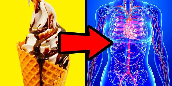 15 Ways You'll Change When You Quit Sugar for a Week