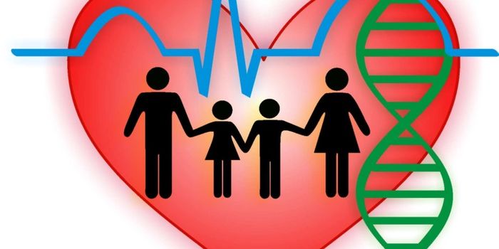 Inhibitor Developed to Reverse A Genetic Heart Condition