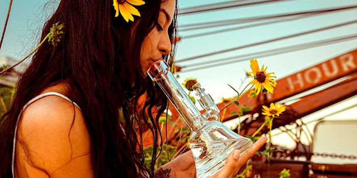 Teenage Cannabis Use May Prime the Brain to Enjoy Cocaine