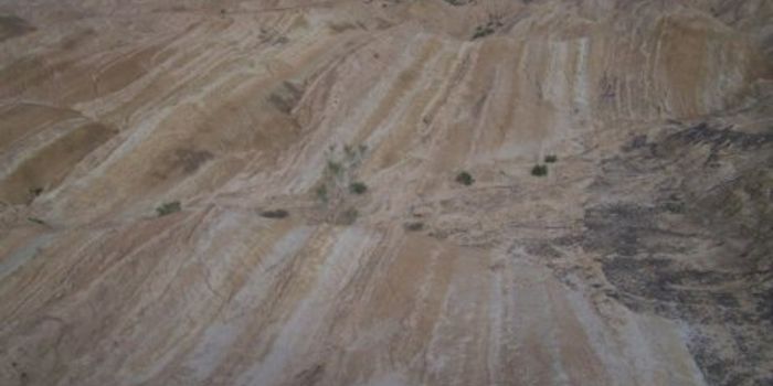 Looking back to see forward: Tibetan sediments tell climate history
