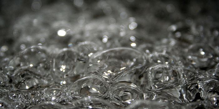 Droplets of DNA Can 'Boil' During an Enzymatic Interaction