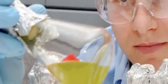 Turning Yeast Into Sustainable Biofuel Factories