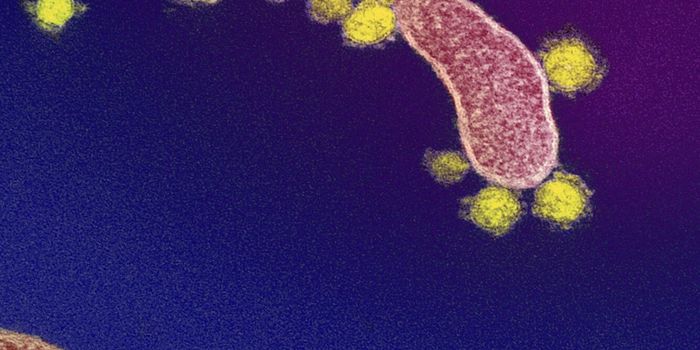 How a Genetic Variant Makes Carriers Asymptomatic with COVID-19