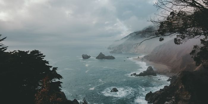 Antibiotics from the Sea?