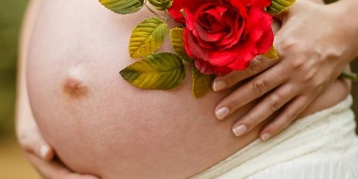 Sugar, Pregnancy, and Brain Health: Is There a Connection?