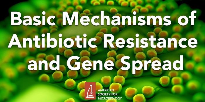 The Mechanisms of Antibiotic Resistance