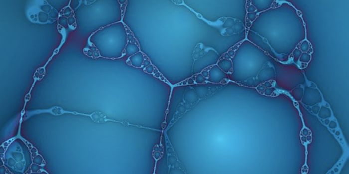 'Ice Bucket Challenge' Gene Research Opens New Insights Into ALS Causes, Treatment