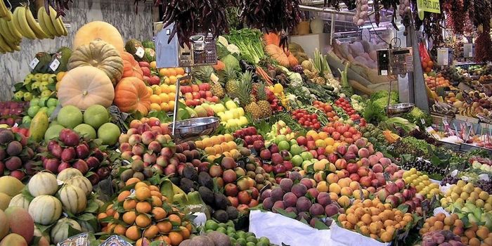 High-Fiber Diets Can Alter the Microbiome Quickly & Significantly