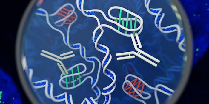 Found in Live Cells: A New Form of DNA