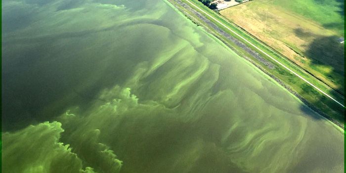 How to best prevent agricultural run-off