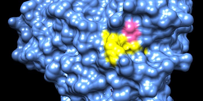 TSRI Study Illuminates How Mystery MS Drug Works