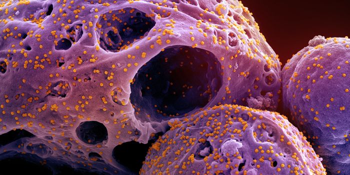 GABA Has Potential as an Inexpensive COVID-19 Treatment