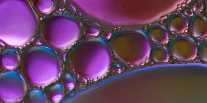 When Gut-Brain Signaling Improved in Aging Mice, So Did Cognition