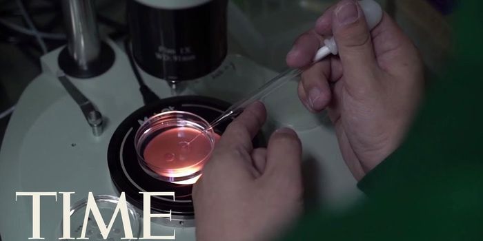 Researcher Claims to Have Genetically Engineered Human Babies