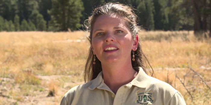 Can we save Tahoe's meadows?