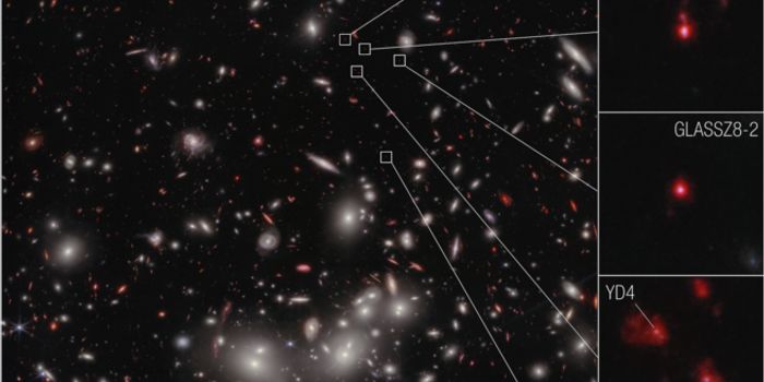 NASA's Webb Telescope Observes Formation and Evolution of the Universe's First Galaxies