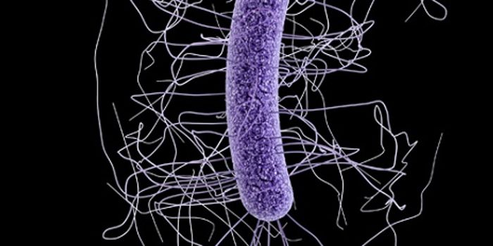 Almost 500K in US Suffered from C. diff Infections in Single Year