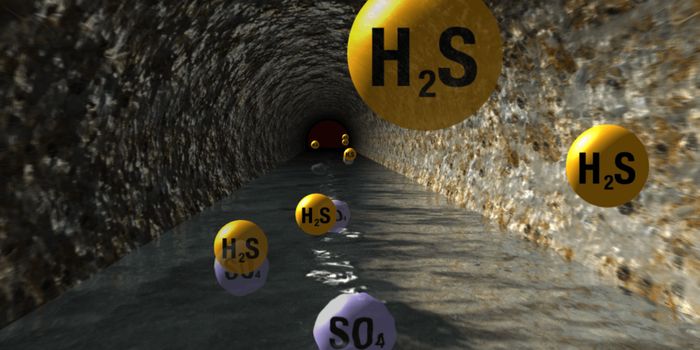 Rotten Egg Gas Suprisingly Benefits Heart Health in Small Doses