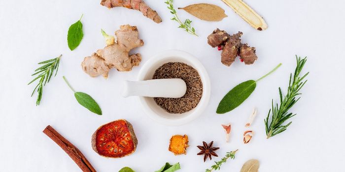 Fingerprinting Ginger Extracts and Testing Their Anti-Cancer Abilities