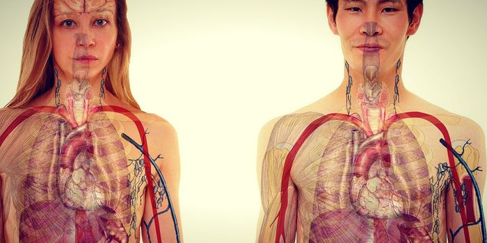 Childhood Cancer Survivors Prone to Cardiac Events