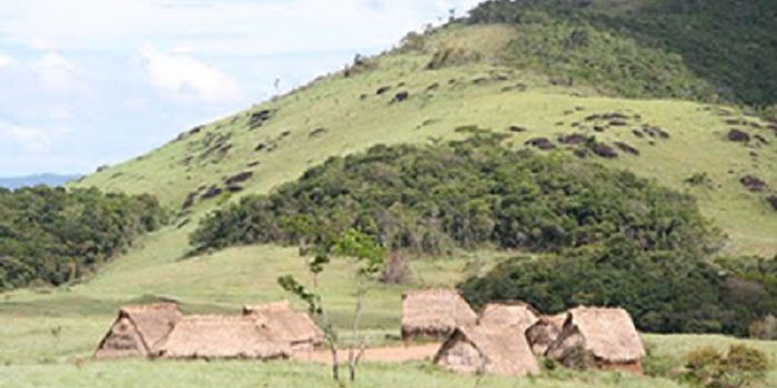 Bacterial Flora of Remote Tribe Has Antibiotic Resistance Genes