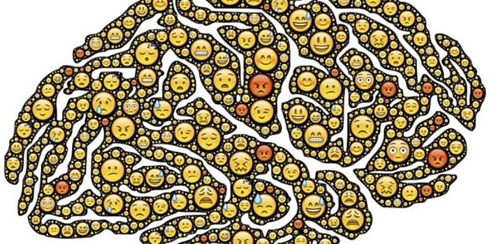 Emotions In The Brain