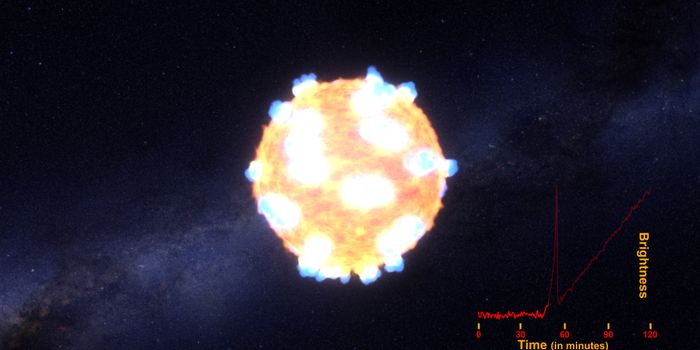 For the First Time, Scientists Witness Shockwaves From a Supernova