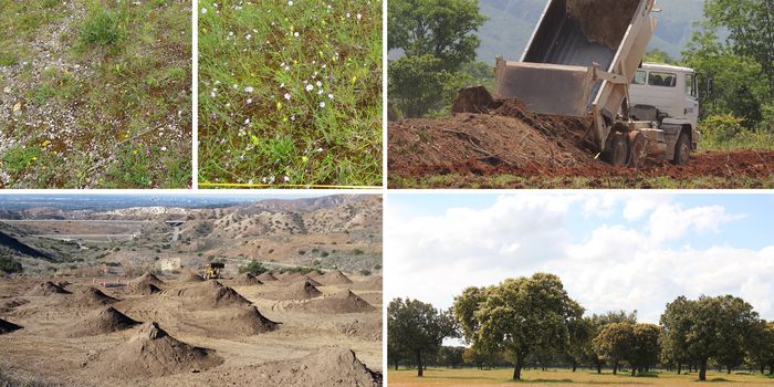 Healing Nature Through Soil Transplants