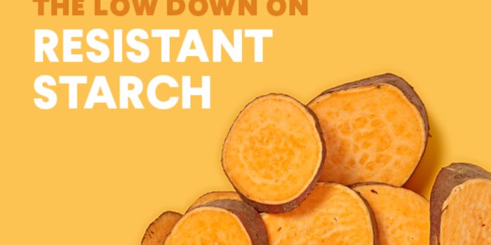 Dietary Resistant Starch Increases Lipid Metabolism in Gut Bacteria